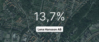 Så gick det för Lena Hansson AB 2022