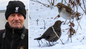 Fågel från Sibirien dök upp – i Linköping: "Var 100 pers här"