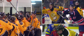 NOSTALGI: 43 bilder på Vimmerby Hockey – känner du igen lirarna?