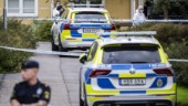 16-åring begärs häktad för mord i Helsingborg