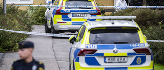 Tonåring häktas för mord i Helsingborg