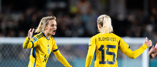 Sverige tog VM -brons – så var matchen