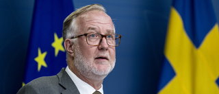 Pehrson: Inte fått garantier från Åkesson
