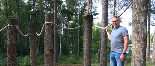 Snart är klubbens jättesatsning klar – har kostat två miljoner