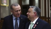Erdogan möter Orbán – kommer blågult Natodatum?