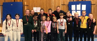 Medaljer till Motala ABK:s ungdomar i Kvarnengreppet