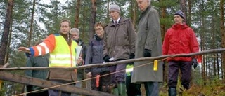 Domstol på stupkanten