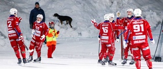 Bandyförbundets beslut – så kommer elitserien se ut