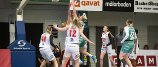 Finaldrömmen krossad – Uppsala basket föll i semifinalen