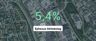 Årsredovisningen klar för Korvgubben: Så gick det för Ephesus AB