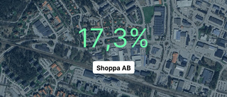 God marginal för Shoppa AB – slår branschsnittet