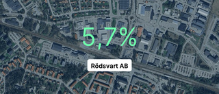 Brant fall för Rödsvart AB - intäkterna ner 36,3 procent