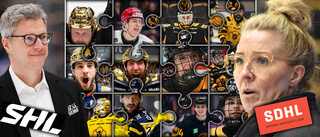 AIK-backen lämnar för hockeyallsvenskan