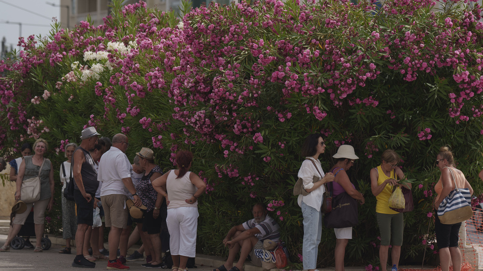Turister i Aten som sökt upp skugga i värmeböljan. Bilden togs i torsdags.