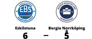 Borgia Norrköping B föll med 5-6 mot Eskilstuna