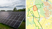 Bygget av Sveriges största solcellspark stoppas – granne klagade