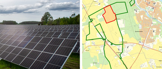 Bygget av Sveriges största solcellspark stoppas – granne klagade