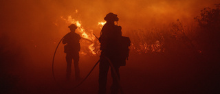 Extrema skogsbränder blir fler och värre