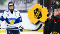 Tre VM, ett OS och 85 landskamper – nu klar för Skellefteå AIK