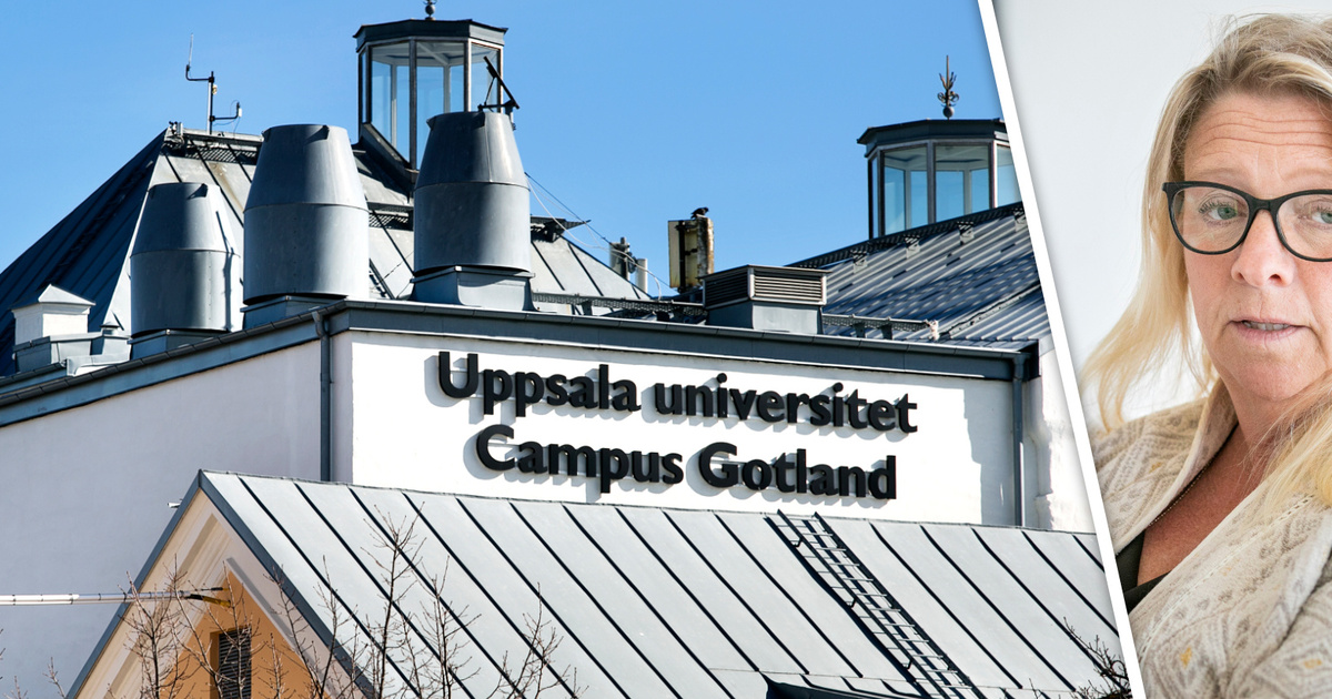 LISTA: Utbildningarna Som Försvinner På Campus Gotland