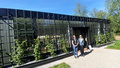 Till slut – se Linnés nya trädgårdsrum