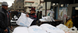 Ukraina skickar mjöl till palestinierna