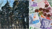 Skattetillägg för Piteåbo med skogskonto