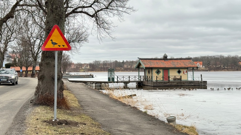 Varning för änder. Skylten finns i Strängnäs.