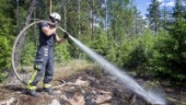 Skogsbrand i Nyköping : "Ingen aning om hur det utlöstes"