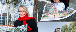 Hon har skapat Luleås nästa landmärke – på Mjölkudden  ■  Skapar vinnande förslag