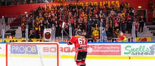 Luleå Hockey anmält – av Svenska ishockeyförbundet: "Vi anser oss inte ha gjort något fel"