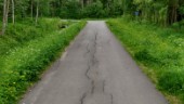 Cykelvägsanalys över Piteå visar på brister i underhåll – sprickor och hål i asfalten: "Det här gör att färre människor vill och vågar cykla"