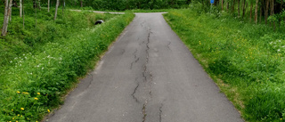 Cykelvägsanalys över Piteå visar på brister i underhåll – sprickor och hål i asfalten: "Det här gör att färre människor vill och vågar cykla"