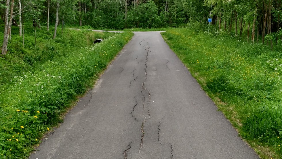 I rapporten framgår det att det på många ställen längs cykelstråket är sprickor och hål i asfalten.