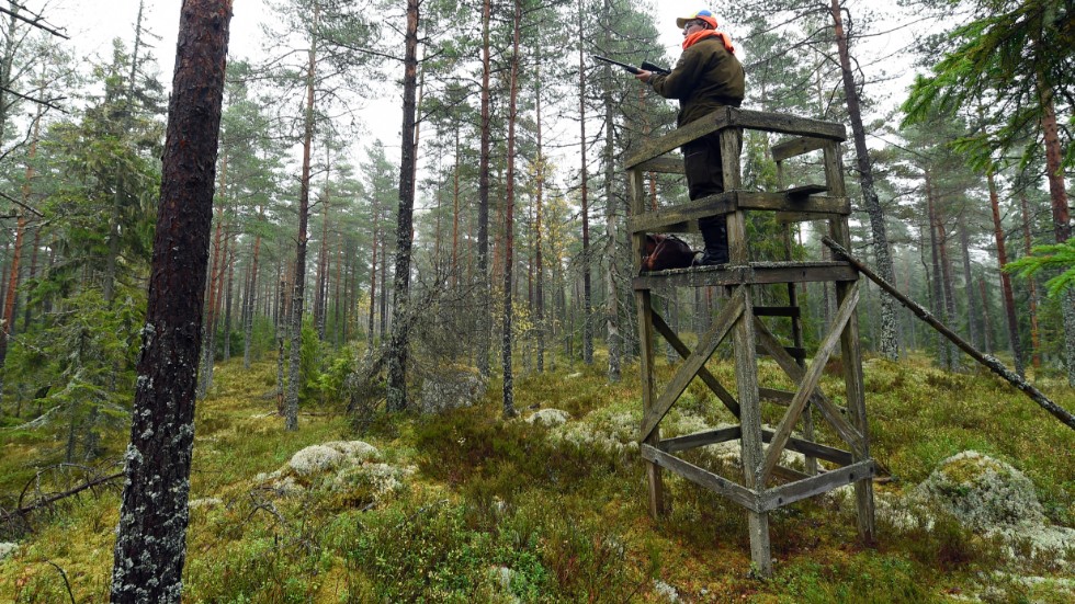 En 33-årig man fälls för att bland annat ha förstört 27 jakttorn i Växjötrakten. Arkivbild.