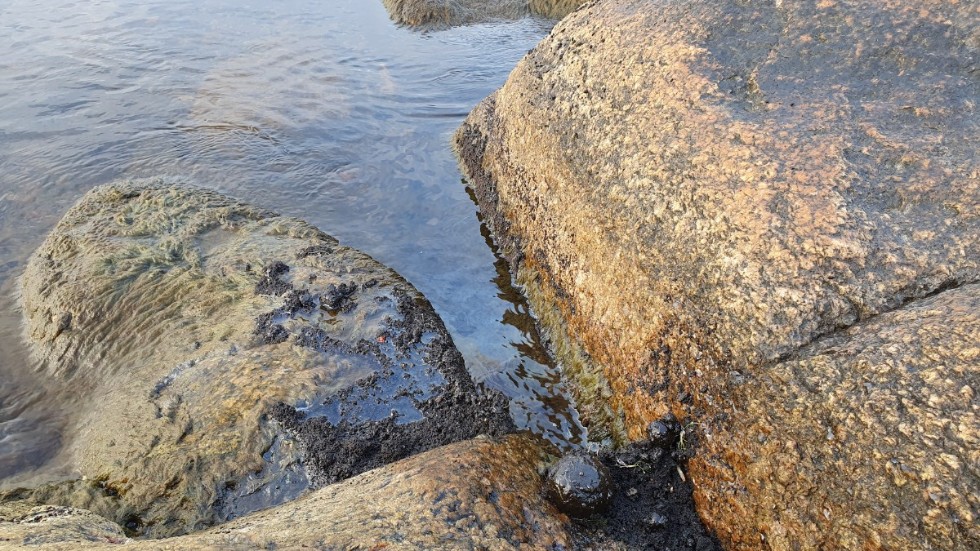 Olja som läckt ut utanför Husum, norr om Örnsköldsvik, har flutit i land på stränderna.