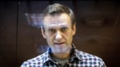 Navalnyj: Rösta på Kommunistpartiet