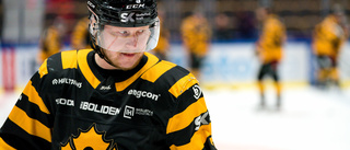 Uppgifter: SM-guldvinnaren lämnar AIK efter säsongen – går till moderklubben