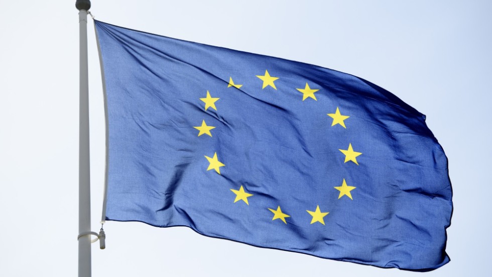 EU-kommissionen har ihop med nationella konkurrensmyndigheter genomfört oannonserade inspektioner hos flera massaföretag. Arkivbild.