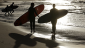 Femtonårig surfare dödad av haj