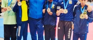 Medaljregn över Aktivitetshuset taekwondo