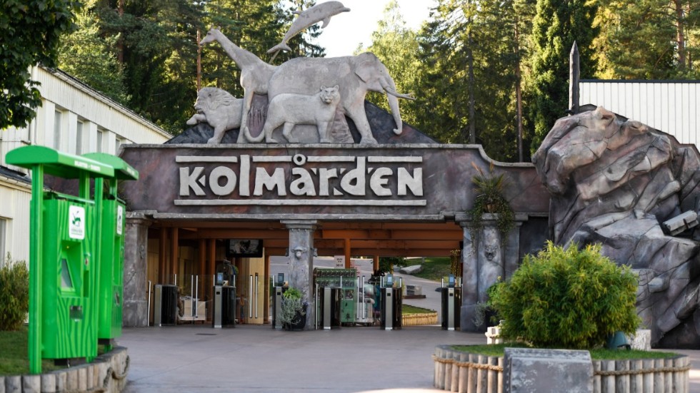Kolmårdens djurpark utanför Norrköping. Arkivbild.