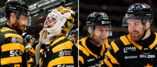 Alla AIK-betyg • Hyllas stort: ”SHL:s överlägset bästa” • Han täckte fem skott: ”En vattendelare hemma i tv-soffan”