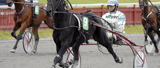 Sambucus P.R nära miljonen i Supersprint – fick inte chansen på upploppet: ”Vinner med lucka”