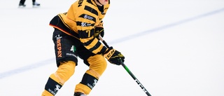 AIK lånar ut unge backen – till toppklubb i hockeyallsvenskan: ”Vi tror att det blir en bra miljö för honom”