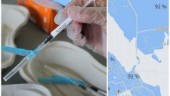 Botten närmar sig toppen – i Västerviks vaccinationsliga