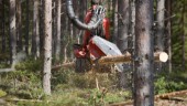 Nordiskt skogsbruk står för värdefull klimatnytta