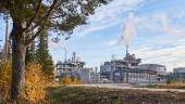 Brist på råvaror trissar upp dieselpriser – men fabriken i Piteå kan växa: "Våra ägare vill ha mycket mer"
