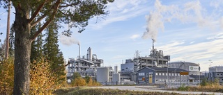 Brist på råvaror trissar upp dieselpriser – men fabriken i Piteå kan växa: "Våra ägare vill ha mycket mer"