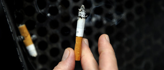 Cigarettfimp avslöjade plastväxttjuv